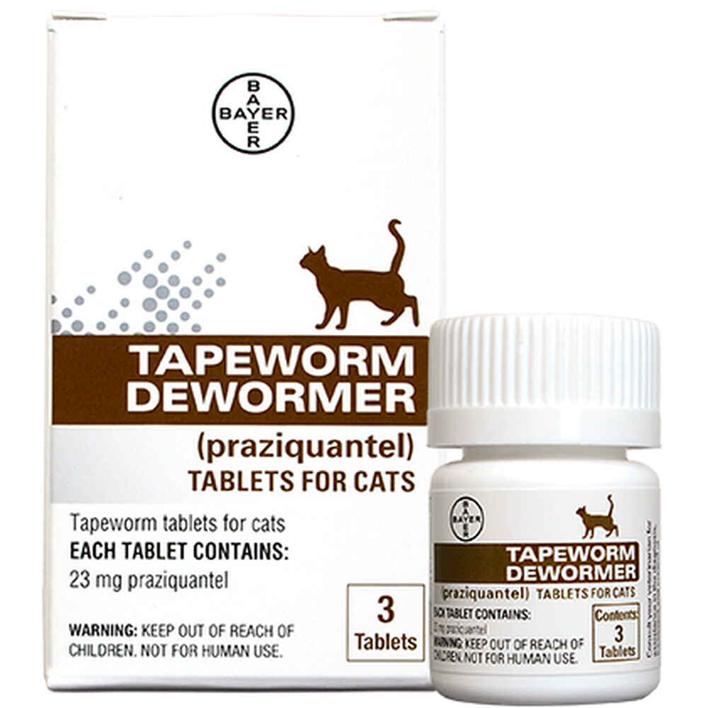 Tapeworm Dewormer for Cats Bayer 3ct