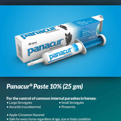 Panacur Equine Dewormer Paste, 25gm