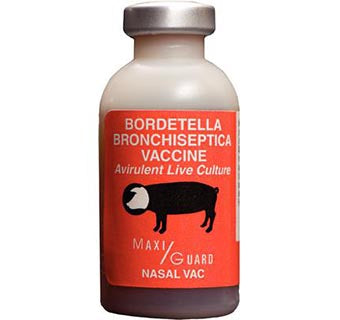 Maxi/Guard Nasal Vac Bordetella Bronchiseptica Vaccine 30mL