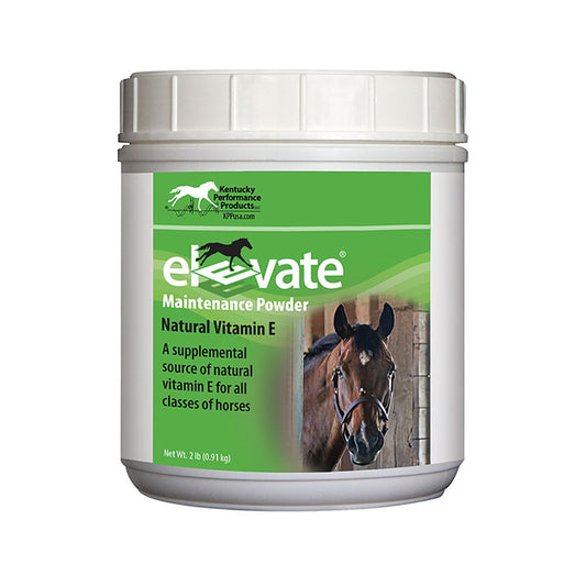 Elevate Maintenance Powder, Vitamin E Supplement for Horses 2lb.
