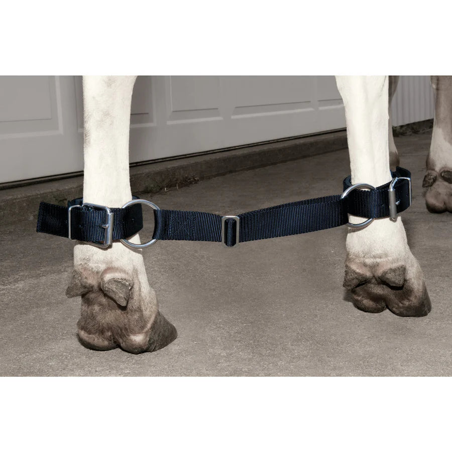 Deluxe Adjustable Cow Hobbles