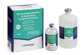 Fostera PRRS