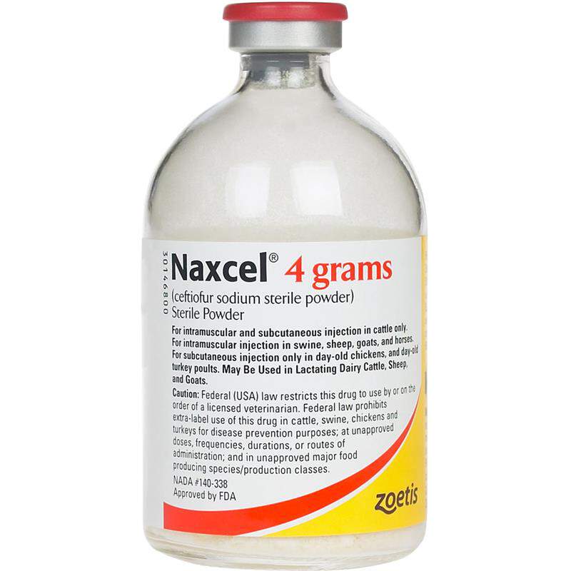 Naxcel - Prescription Required