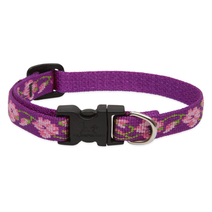 Lupine Collars & Leashes - 3/4"