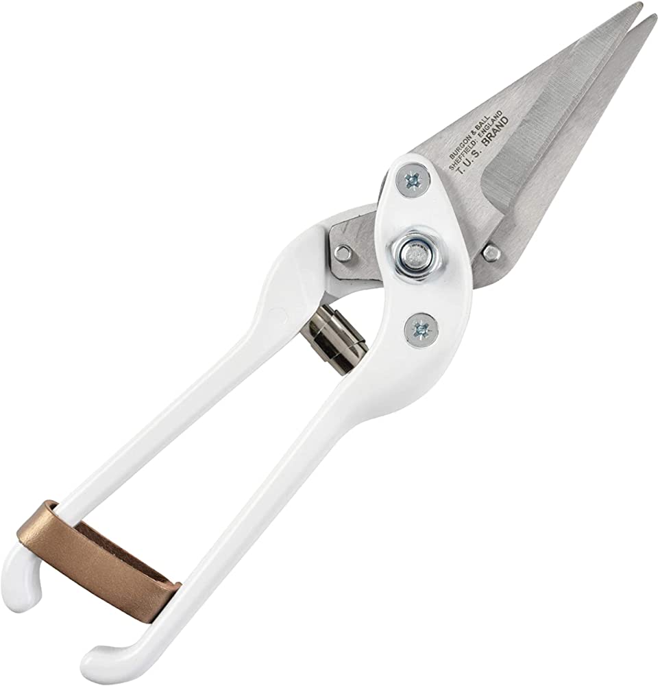 Professional Foot Rot Shears