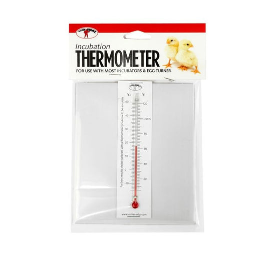Incubation Thermometer