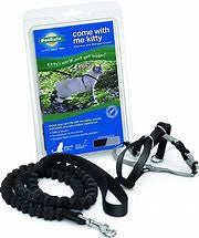 PetSafe Come With Me Kitty Harness and Leash