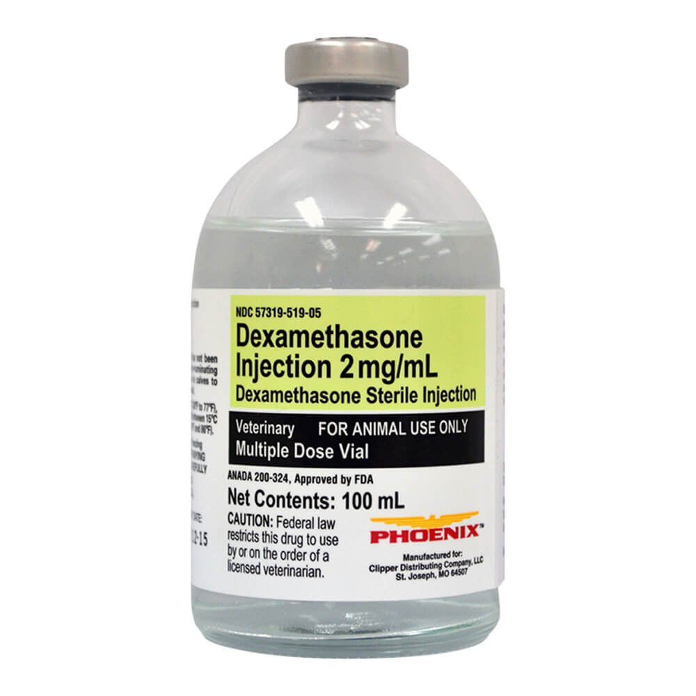 Dexamethasone 100mL - Prescription Required