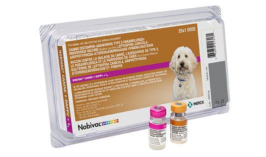 Nobivac Canine 1-DAPPv + L4 - 25 x 1 Dose Tray