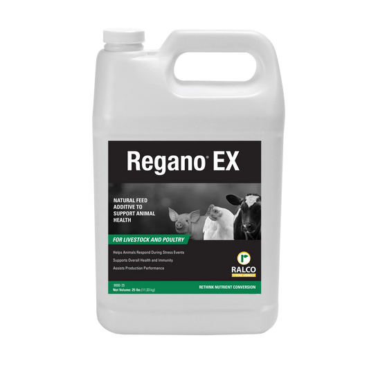 Regano EX 25#