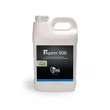 Regano Liquid OMRI - 1 Gallon