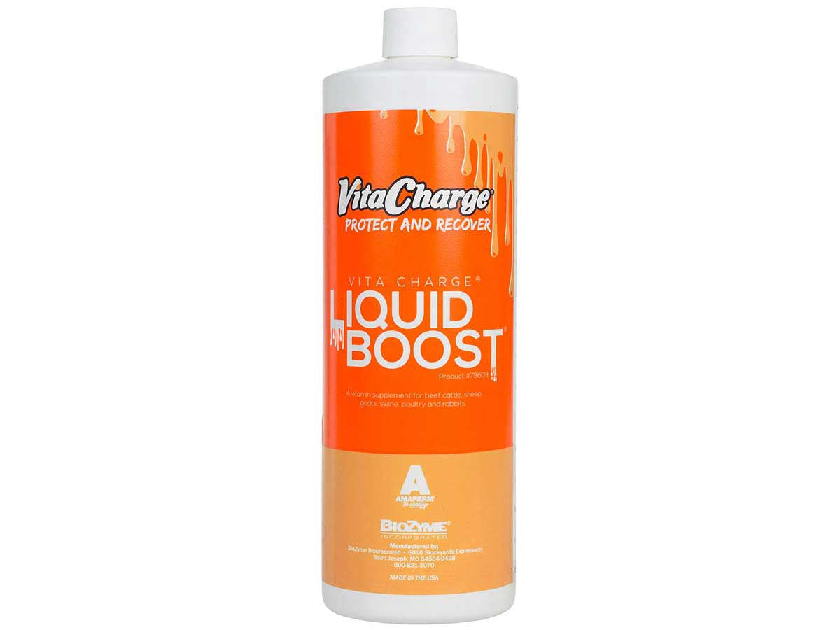 Vita Charge Liquid Boost 32oz.