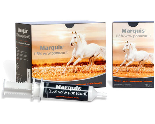Marquis Antiprotozoal Oral Paste - Prescription Required