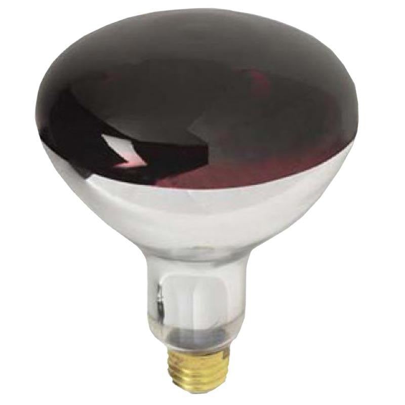 Red Heat Lamp Bulb 250W