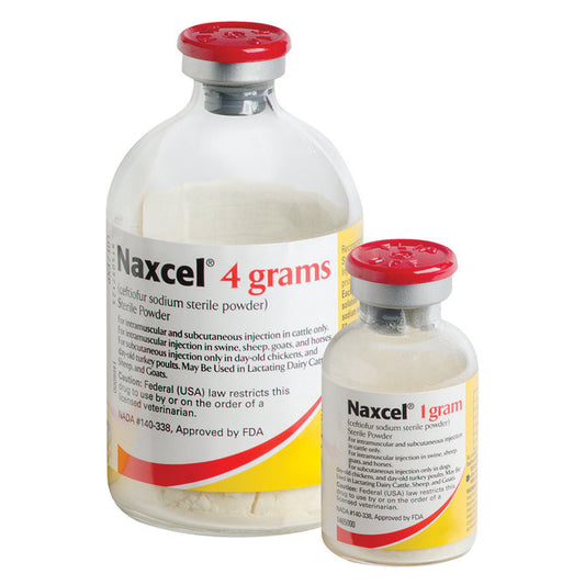 Naxcel - Prescription Required