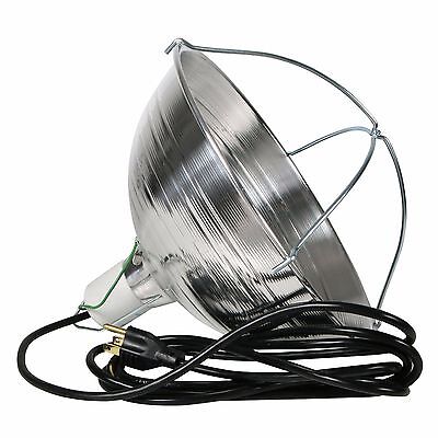 Brooder Lamp with 9' Cord