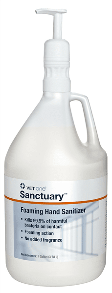 Sanctuary Foaming Hand Sanitizer, 1 Gallon