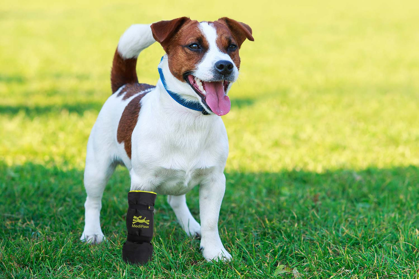 Medipaw Protective Boot