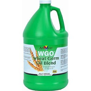 Wheat Germ Oil - 1 Gallon